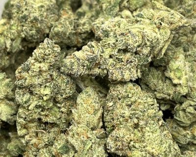 GOLIATH GLUE (EXOTIC SATIVA DEAL) - Image 7